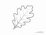 Leaf Oak Template Tree Drawing Coloring Templates Pages Leaves Kids Printables Printable Cut Fall Maple Print 2998 Color Timvandevall Choose sketch template