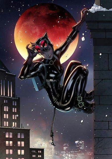 Catwoman Heroes Wiki Fandom Powered By Wikia