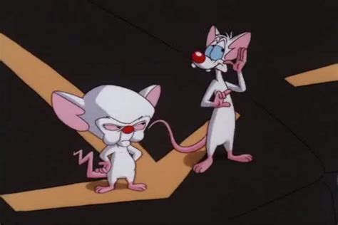 watch pinky and the brain season 3 episode 43 pinky s turn online pinky and the brain