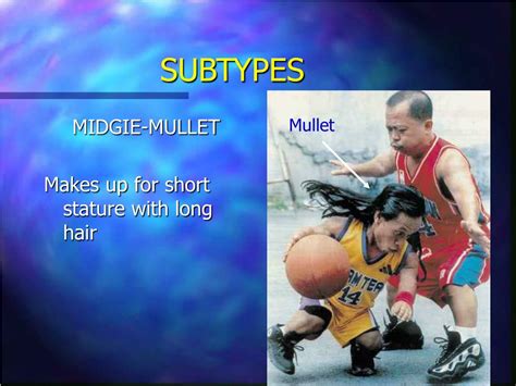 ppt the mullet powerpoint presentation free download