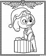 Patrouille Noel Paw Skye Colouring Cocker Adorable Weihnachten Precious Ausmalbilder скай Coloringhome Chase раскраска Patrulla Canina sketch template