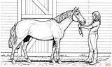 Horse Coloring Pages Printable Realistic Mare Horses Print Color Animal Woman Adults Girl Sheets Hard Kids Dog Schleich Supercoloring Main sketch template