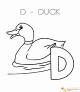 Duck Coloring Sheet Kids sketch template