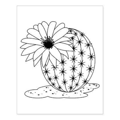 desert plants  coloring pages png  file