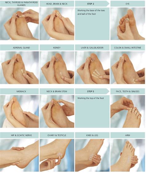 complete self help foot sequence reflexology massage foot massage