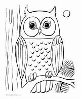 Owl Burrowing Coloring Pages Getcolorings Color sketch template