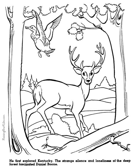 daniel boone history coloring page