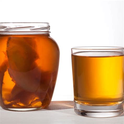 kombucha does fermented tea really have health benefits