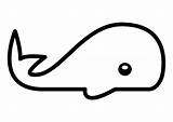 Whale Coloring Ballena Para Dibujo Dibujos Colorear Ballenas Boar Wild Pages Edupics Large sketch template