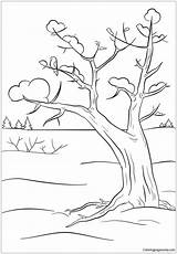 Winter Coloring Tree Pages Trees Printable Ausmalbilder Color Supercoloring Kids Template Christmas Colouring Pine Nature Drawing Save Printables sketch template