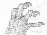 Dragon Claw Drawing Drawings Paintingvalley sketch template