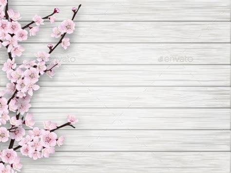 cherry pink flower  white  wood background  belander graphicriver