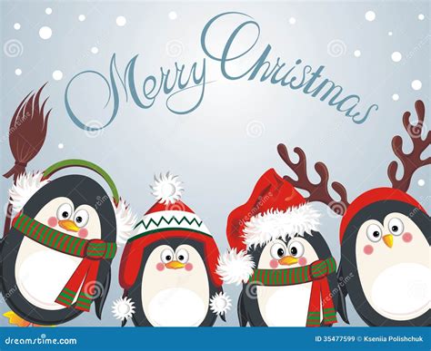 merry christmas cute penguins royalty  stock images image