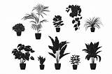 Potted Siluetas Planters Plantas Houseplants Macetas Flowerpots Vecteezy Tropicales sketch template