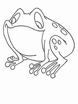 Rane Rana Colorat Animale Planse Sapos Broscuta Riscos Frogs Stilizzata Gecko Copilul Animali Copii Plansa Coloringpagebook Coloratutto Pedraria Bordados Colorido sketch template