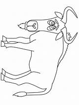 Gnu Coloring Pages Animals Wildebeest Designlooter Cartoon 960px 54kb Advertisement Template sketch template