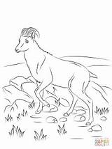 Coloring Ibex Alpine Designlooter Tahr Nilgiri Goat Wild Pages sketch template