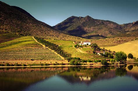 douro valley small group   wine tasting portuguese lunch  optional river cruise