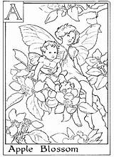 Coloring Pages Flower Fairies Fairy Alphabet Adults Rest Soon Colouring Printable Adult Come Book Letter Back Gif sketch template