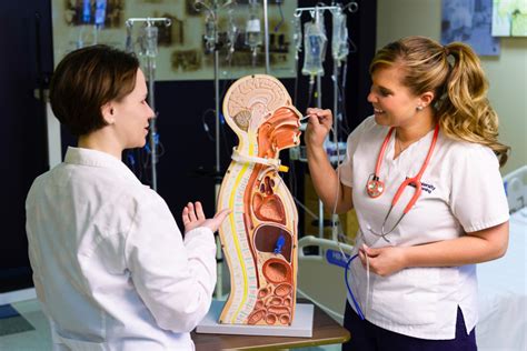 Bsn Vs Adn Which Degree Should You Earn To Become An Rn