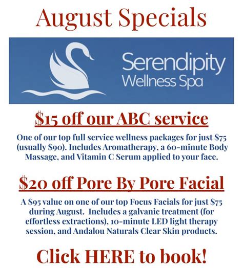 serendipity wellness spa tampa bay facial massage pinellas park