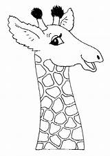 Coloring Girafe Giraffes Colorear Jirafas Girafes Coloriages Oeil Souriante sketch template