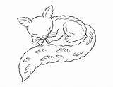 Coloring Squirrel Napping Pages sketch template