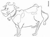 Cow Coloring Pitara Pages Kids sketch template