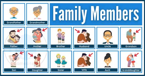 members   family  comprehensive guide  english family terms