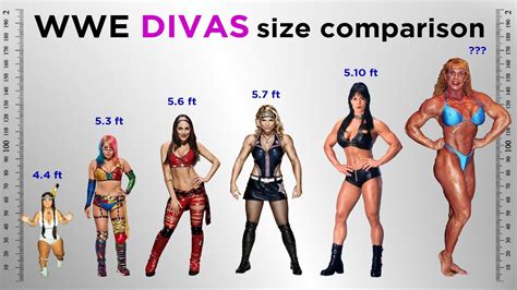 Wwe Divas Size Comparison Youtube