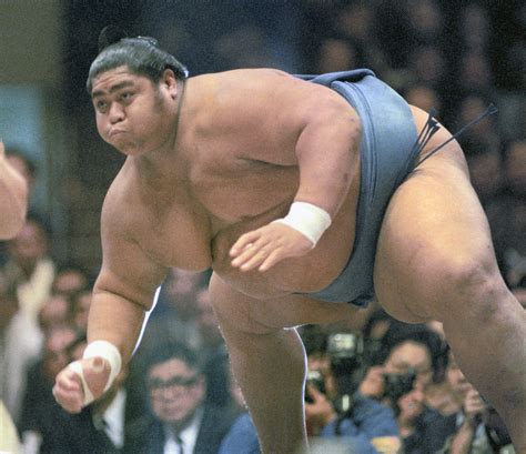 gene   benefit sumo giants  japan times