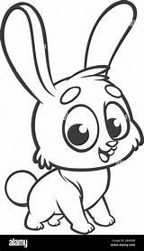 Coniglietto sketch template