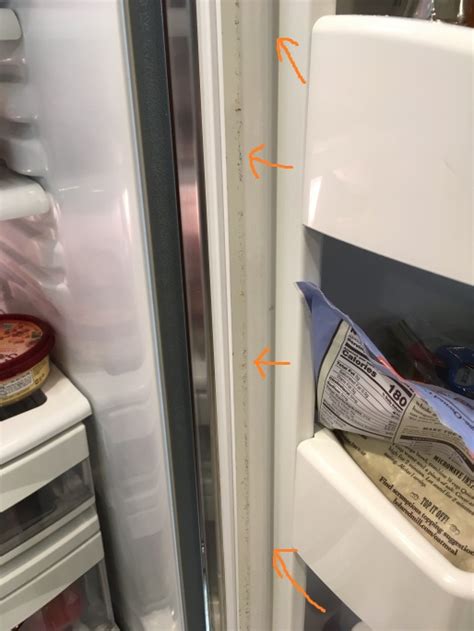 clean  smelly refrigerator  freezer interior  exterior