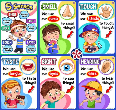 downloadable senses poster set teachersmagcom