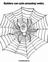 Coloring Spider Spin Web Spiders Webs Pages Incredible Amazing Spinning Print Crab Wheel Giant Legs Twistynoodle Template Cursive Noodle Favorites sketch template
