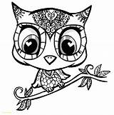 Owl Coloring Pages Owls Adult Cute Kids Print Printable Adults Mandala Skull Cartoon Colouring Sugar Color Easy Abstract Girl Babies sketch template