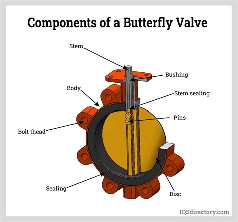 butterfly valves        types