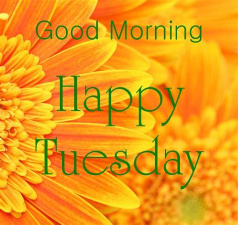 happy tuesday good morning wishes  tuesday pictures images jpg clipartingcom