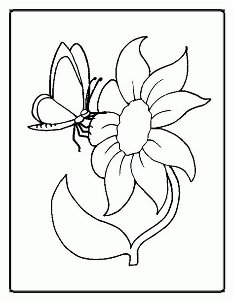 flowers coloring pages coloring home