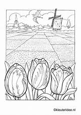 Kleurplaat Kleurplaten Nederland Windmill Mies Aap Noot Dutch Tulip Kleuteridee Tulips Horsthuis Parel Landschap Mewarn15 Leesplankje Hollande Windmills Downloaden Coloriage sketch template