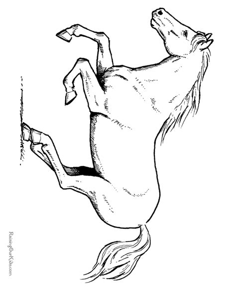 horse coloring pages  printable horse coloring sheet  color