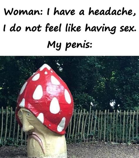 Funny Memes About Sex