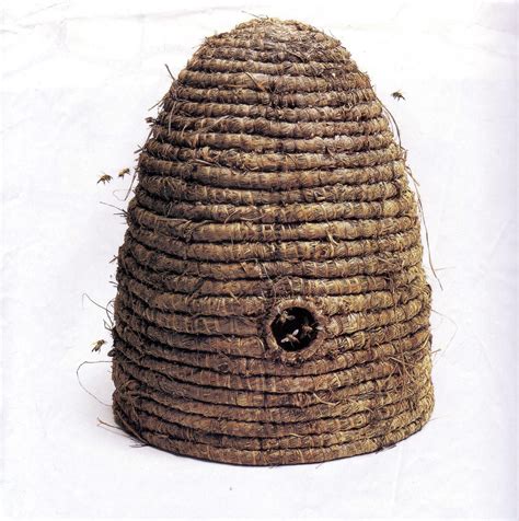 perfect  bee skep