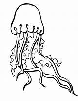 Jellyfish Outline Spongebob Frill sketch template