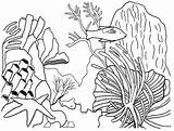 Arrecifes Rafa Koralowa Corail Kolorowanki Coloriages Arrecife Naturaleza Dzieci Reefs Peces Ko Animals Colorier Coloringpagesfortoddlers sketch template