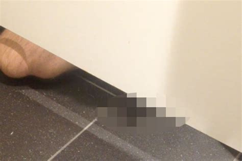 shocking moment man caught masturbating in heathrow toilet daily star
