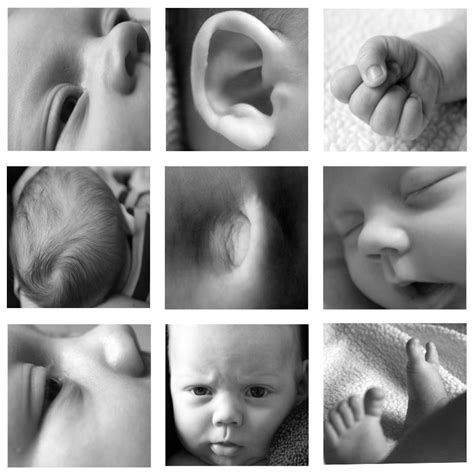 Photo By Erica Kennedy 2013 Collage Of Infant Cute Body Parts