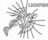Coloring Lionfish Pages Color Animals Kids 543px 71kb Printable Library sketch template
