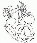 Vegetable Fruits Getdrawings Haftasi Mali Coloringhome sketch template