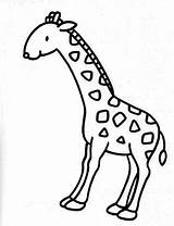 Colorat Girafa Desene Girafe Gadgets sketch template